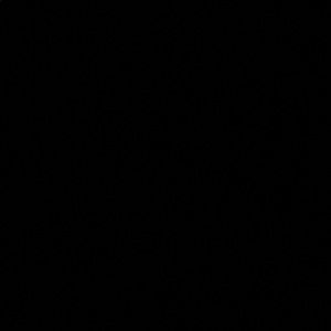 Meet your Posher, Benji